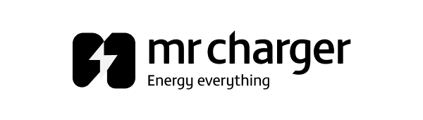 Black logo featuring a stylised lightning bolt and the text 