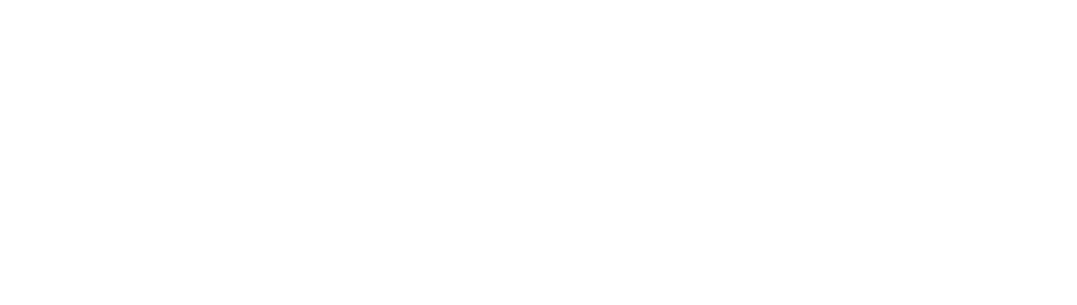 logo norlys white 1