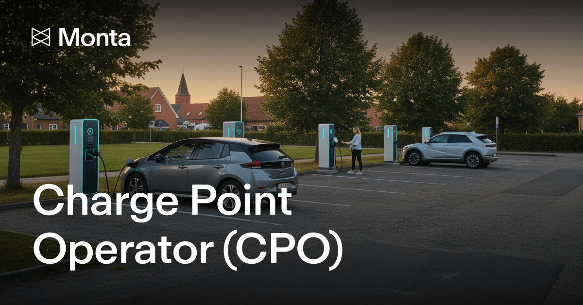Charge Point Operator (CPO): Definition, Roles, Challenges, and Management Software