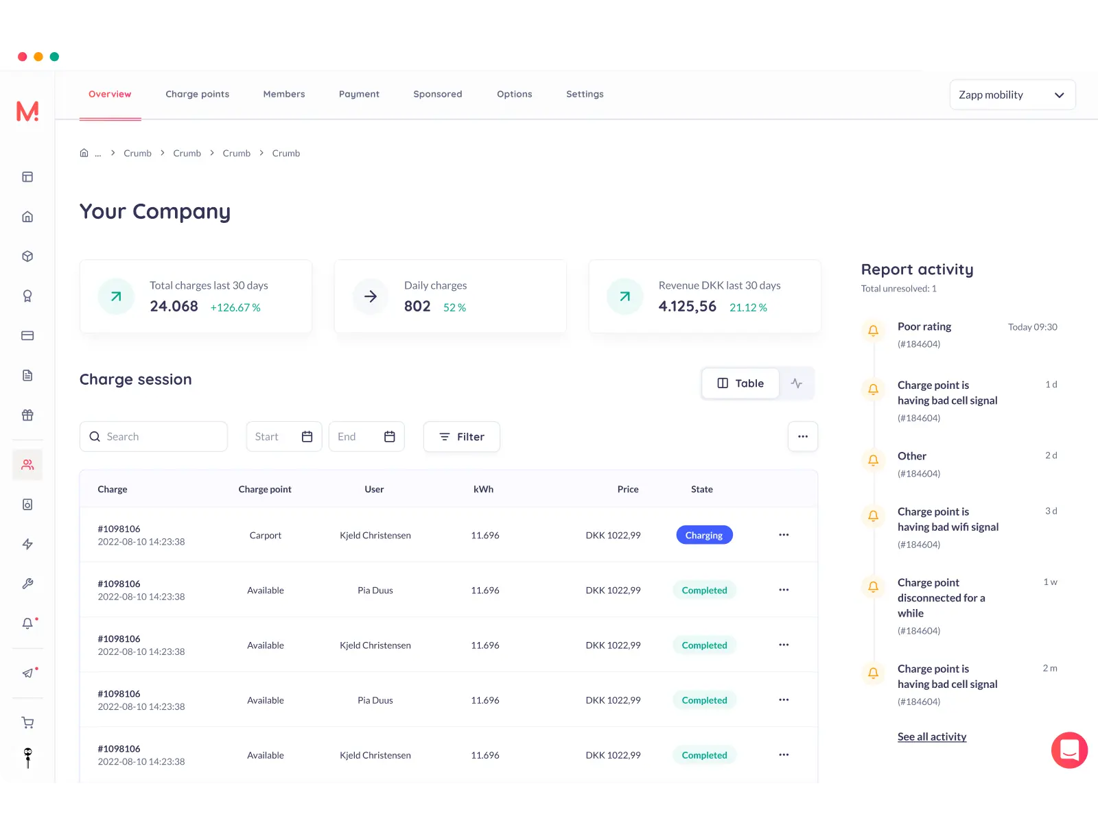 company view in the monta portal dashboard